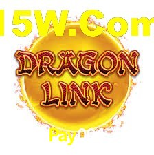 Pay004 App Interface