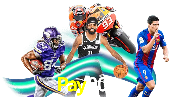 Pay004